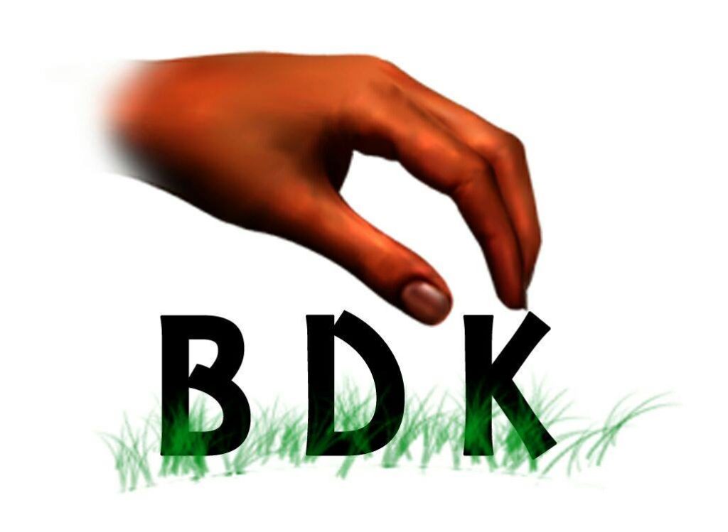 BDK : L’ENTREPRISE FAMILIALE QUI INVESTIT DANS LE BIO